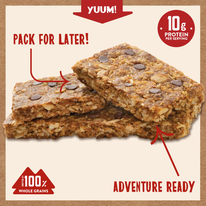 Chocolate Chip Crunchy Bars